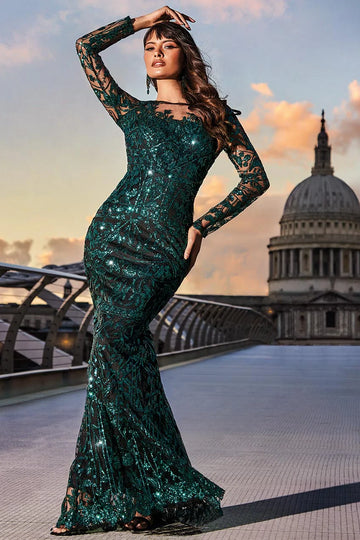 Sequin Mesh Embroidered Maxi Dress Goddiva